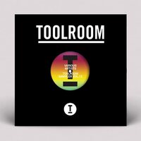 Various Artists - Toolroom Sampler Vol. 12 vinyl cover