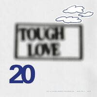Various Artists - Tough Love 20: Don't Do Anything Important With Anybody Else vinyl cover