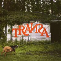 Various Artists - Transa (Deluxe Edition) vinyl cover