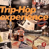 Various Artists - Trip Hop Experience Vol 1 vinyl cover