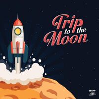 Various Artists - Trip To The Moon: 11 Obscure R&b, Garage Rock & Deepfunk Songs Aboutthe Moon / Various vinyl cover