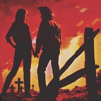 Various Artists - Troubled Troubadours vinyl cover