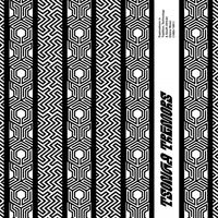 Various Artists - Tsonga Tremors: Explorations In Tradition Technology And South Africa Dance Music vinyl cover