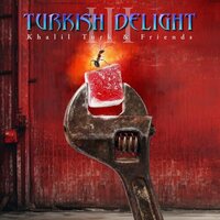 Various Artists - Turkish Delight Volume Three vinyl cover