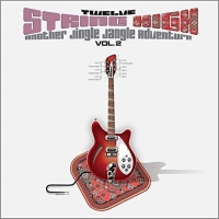 Various Artists - Twelve String High Vol 2 vinyl cover