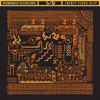 Various Artists - Twenty Years Deep vinyl cover