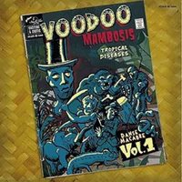 Various Artists - Voodoo Mambosis And The Tropical Disease 01 vinyl cover