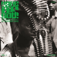 Various Artists - Wake Up You 1: Rise & Fall Of Nigerian Rock vinyl cover