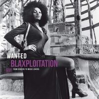 Various Artists - Wanted: Blaxploitation: From Diggers To Music Lovers vinyl cover