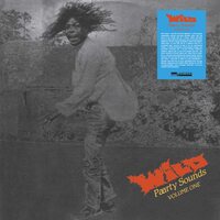 Various Artists - Wild Paarty Sounds, Vol. One vinyl cover