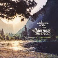 Various Artists - Wilderness America, A Celebration Of The Land vinyl cover