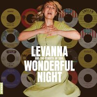 Various Artists - Wonderful Night vinyl cover
