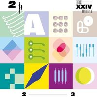 Various Artists - Xxiv - Chapter Two vinyl cover
