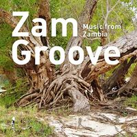 Various Artists - Zam Groove: Music From Zambia vinyl cover