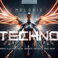 Various - Melodic Techno 2026 vinyl cover