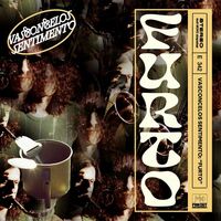 Vasconcelos Sentimento - Furto vinyl cover