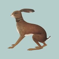 Vashti Bunyan - Lookaftering Expanded vinyl cover
