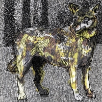 Vegyn - Janhui vinyl cover