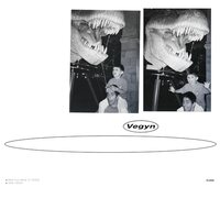 Vegyn - Only Diamonds Cut Diamonds 5 Year Anniversary Repress vinyl cover