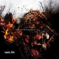 Vein.fm - This World Is Going To Ruin You vinyl cover