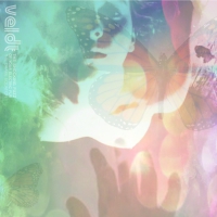 Veldt - The Shocking Fuzz Of Your Electric Fur: The Drake Equation vinyl cover