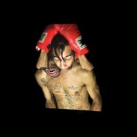 Velvet Negroni - Bulli vinyl cover