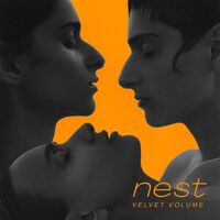Velvet Volume - Nest vinyl cover