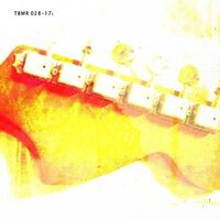 Velvoids - What You Know: Absolutely Nothing vinyl cover