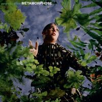 Vendredi Sur Mer - Metamorphose vinyl cover