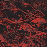 Vermin Womb - Retaliation vinyl cover