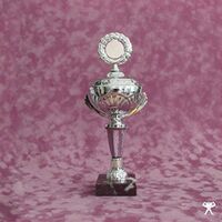 Verner - Crash Of The Web Era vinyl cover