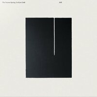 Vernon Spring & Gwilym Gold - Still vinyl cover