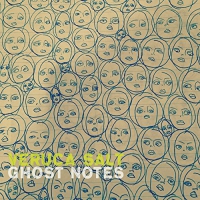 Veruca Salt - Ghost Notes vinyl cover