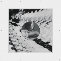 Vhs - Gift Of Life vinyl cover