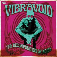 Vibravoid - Decomposition Of Noise vinyl cover