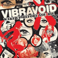 Vibravoid - Wake Up Before You Die vinyl cover