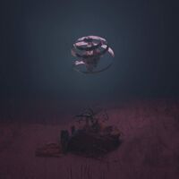 Vica Pacheco - Symplegmata vinyl cover