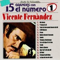 Vicente Fernandez - 15 Grandes Con El Numero Uno vinyl cover