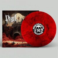 Vigil - And The Void Stared Back vinyl cover
