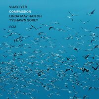 Vijay Iyer - Compassion vinyl cover