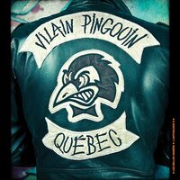 Vilain Pingouin - Les Belles Annees vinyl cover