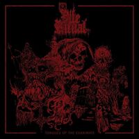 Vile Ritual - Tongues Of The Exanimate vinyl cover