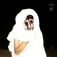 Villaelvin - Headroof vinyl cover