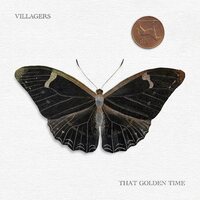 Villagers - That Golden Time vinyl cover