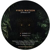 Vince Watson - Spirals vinyl cover