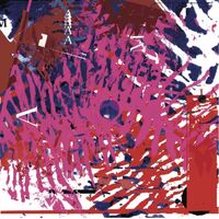Vinicio Adames - Amazonia vinyl cover