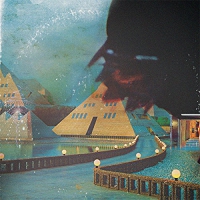 Vinyl Williams - Brunei vinyl cover