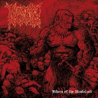 Violent Hammer - Riders Of The Wasteland vinyl cover