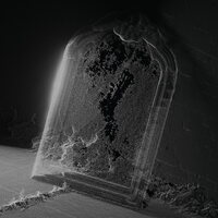 Visible Cloaks - Paradessence (Silver) vinyl cover