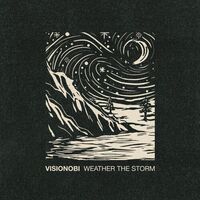 Visionobi - Weather The Storm vinyl cover